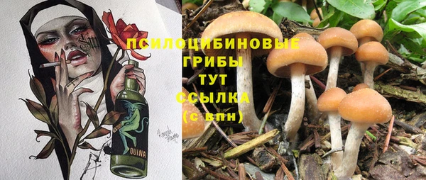 винт Вязьма