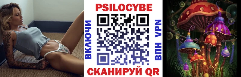 Псилоцибиновые грибы Psilocybe  Звенигород 